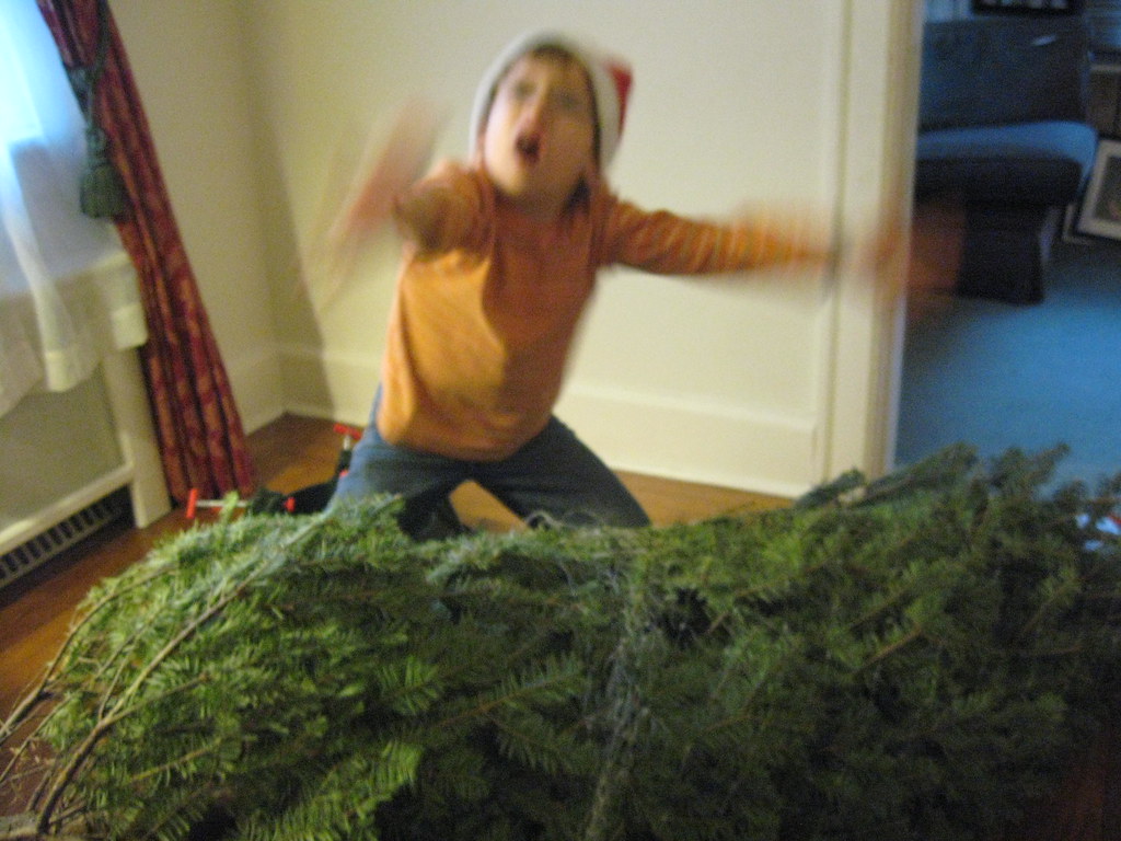 IMG_8368 There's a bunny under my bed Flickr