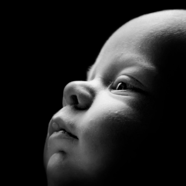Baby Portrait in Black & White a photo on Flickriver