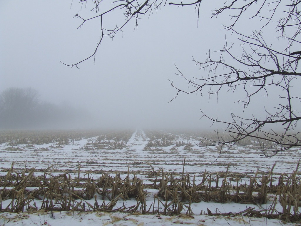 Misty day Gormley, Ontario Aieman Khimji Flickr