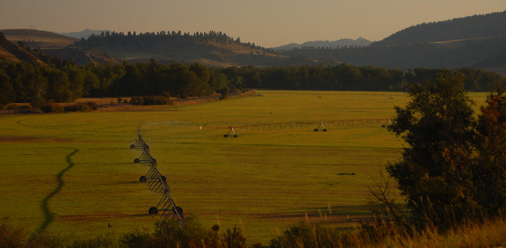 Oxbow Ranch Riverbottom Meadow along Little Prickly Pear C… Flickr