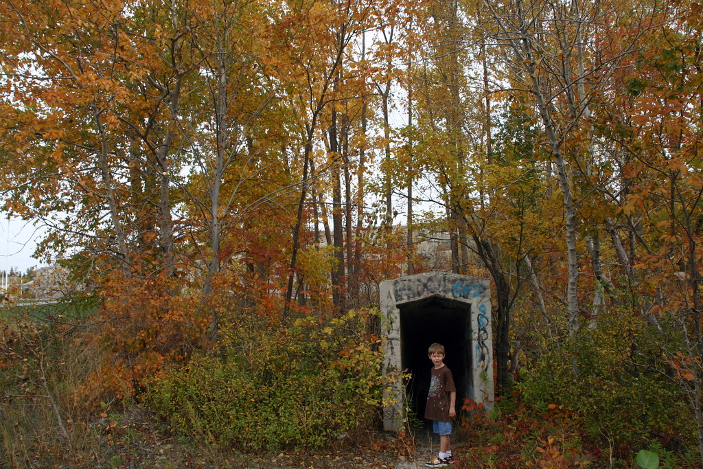 IMG_2579 Olde Stone Quarry County Park, Sturgeon Bay, Door… Flickr