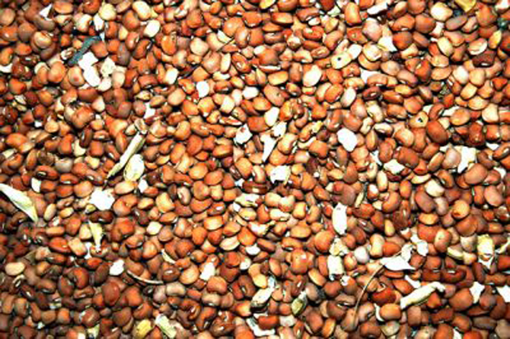 Cowpea seeds Cowpea, grain legume popular food crop in Wes… Flickr