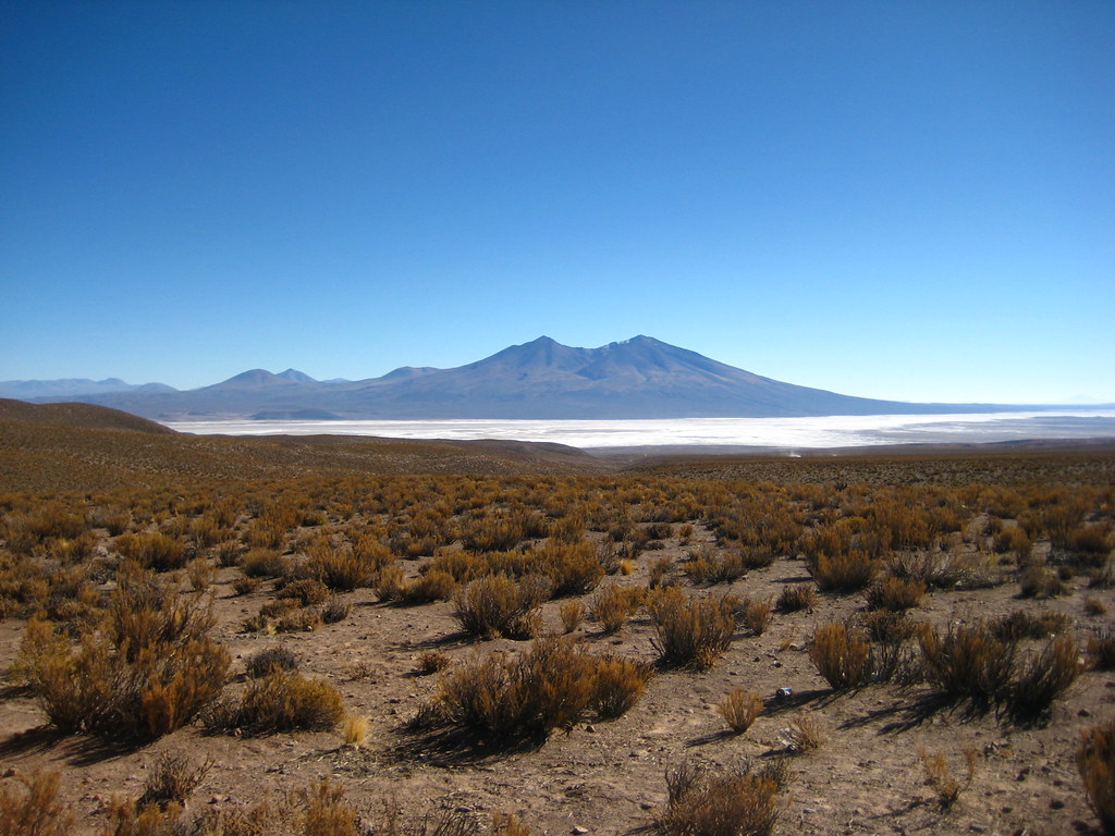 Salt Flats Sebastian and Tyson Flickr