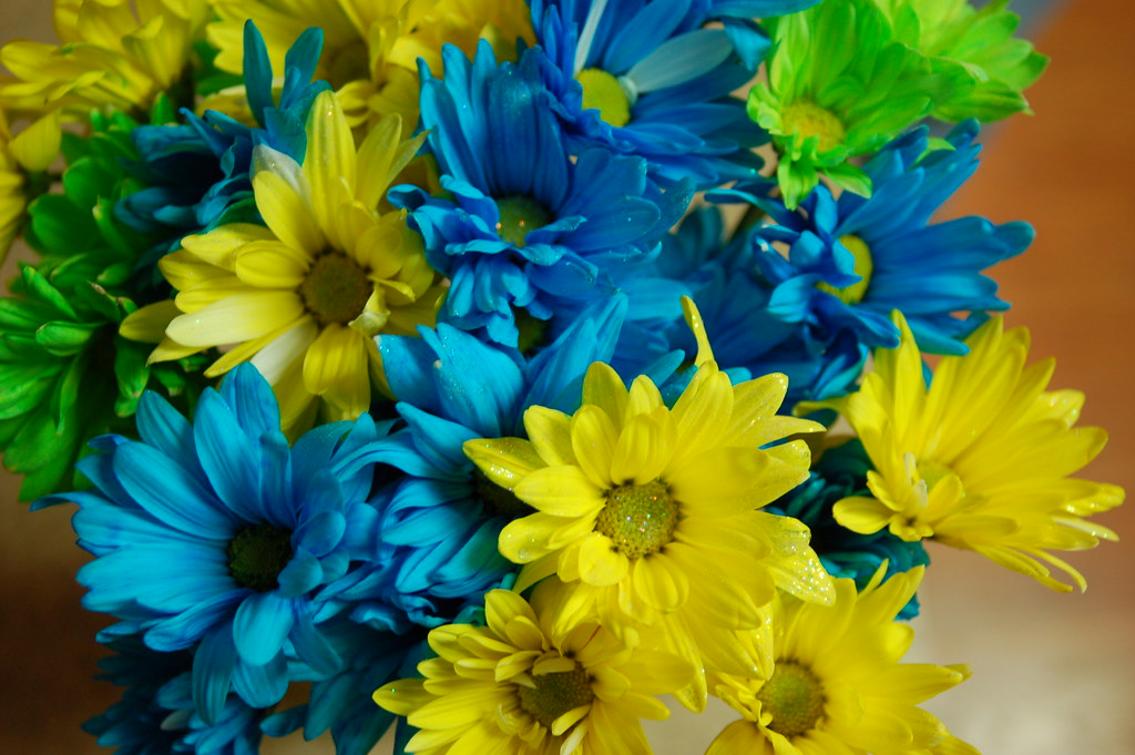 Location Guilderland, New York Leigh Ward Flickr