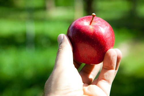 Temptation | Beshef | Flickr