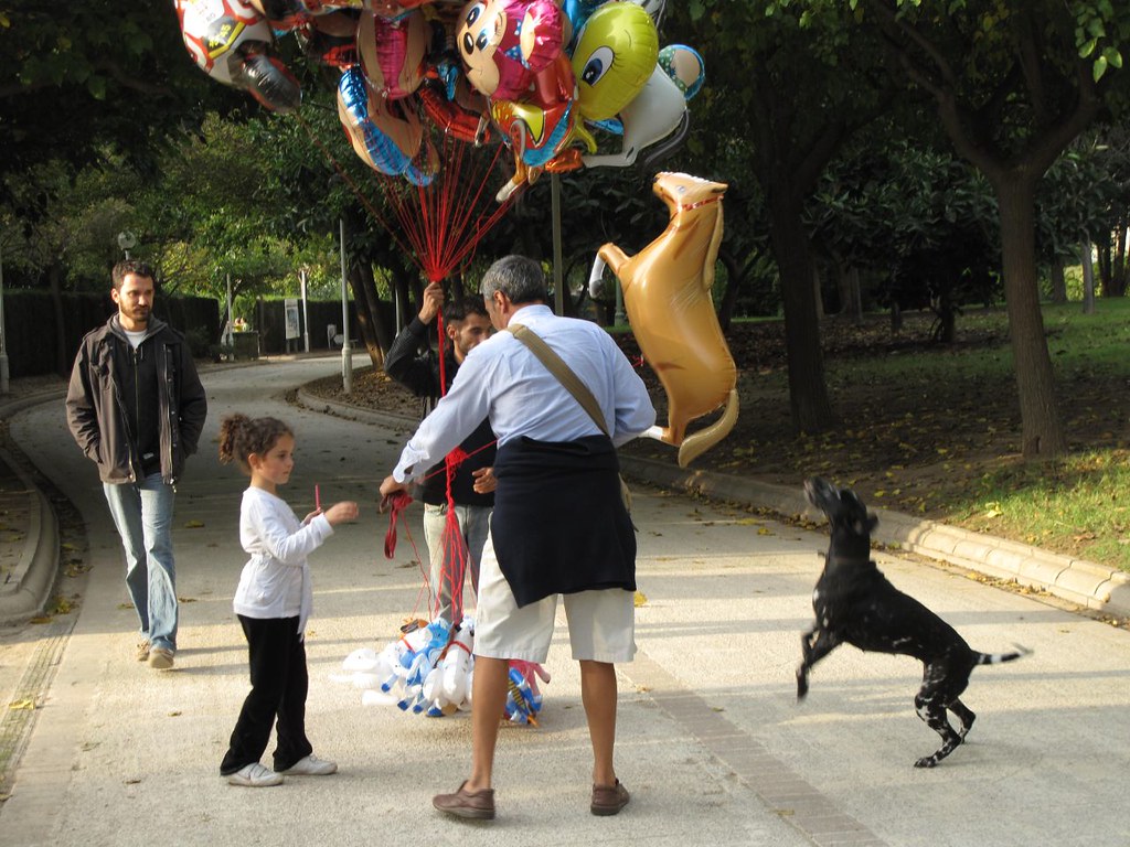 dog barking a dog barking at a balloon shaped like a horse… jody o