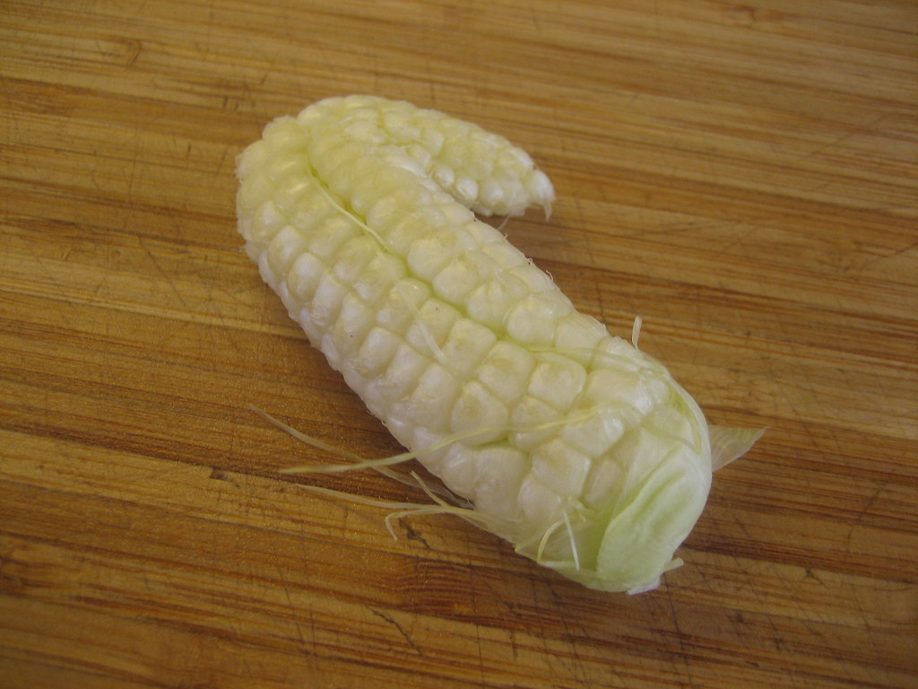 Parasite Corn Separated from its Siamese Twin. Eugene Kim Flickr