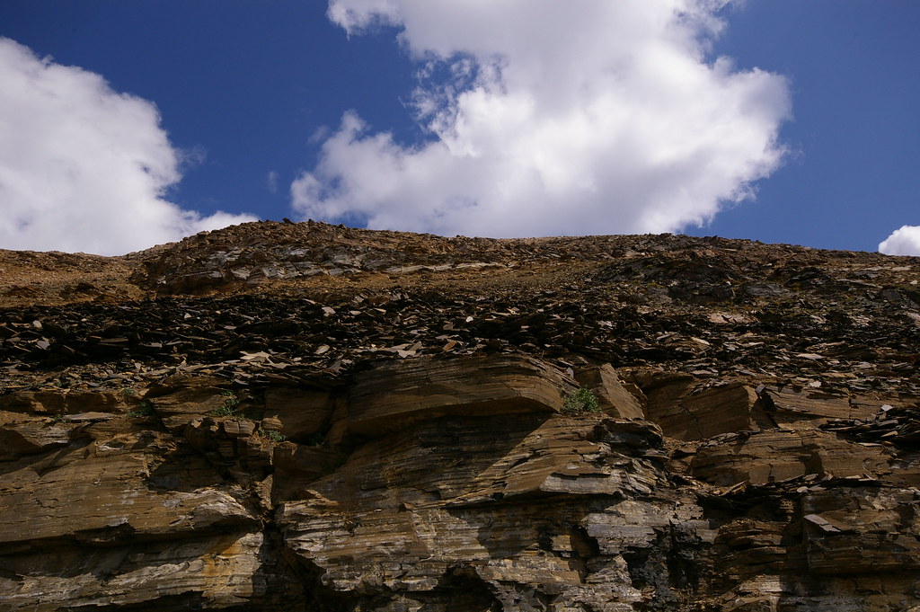 Yoho NP Day 3 Burgess Shale Fossil Beds Walcott Quarry (… Flickr
