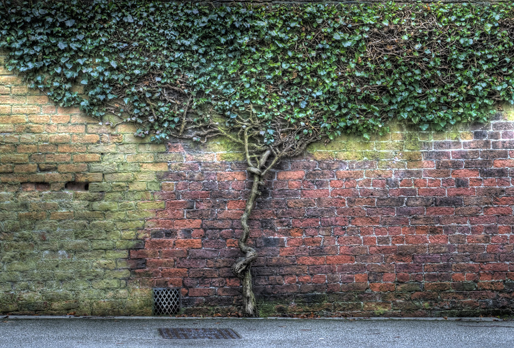 The Secret Garden Wall my images always lose colour when i… Flickr