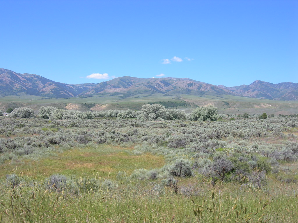 Idaho Sagebrush Taken near the McCammon exit on I15. Jimmy Emerson