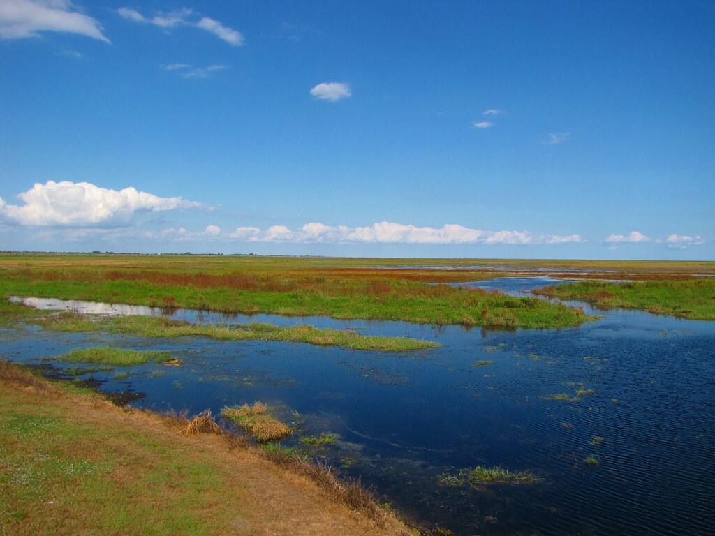 Lake Okeechobee 3 Lake Okeechobee Glades County B A Bowen