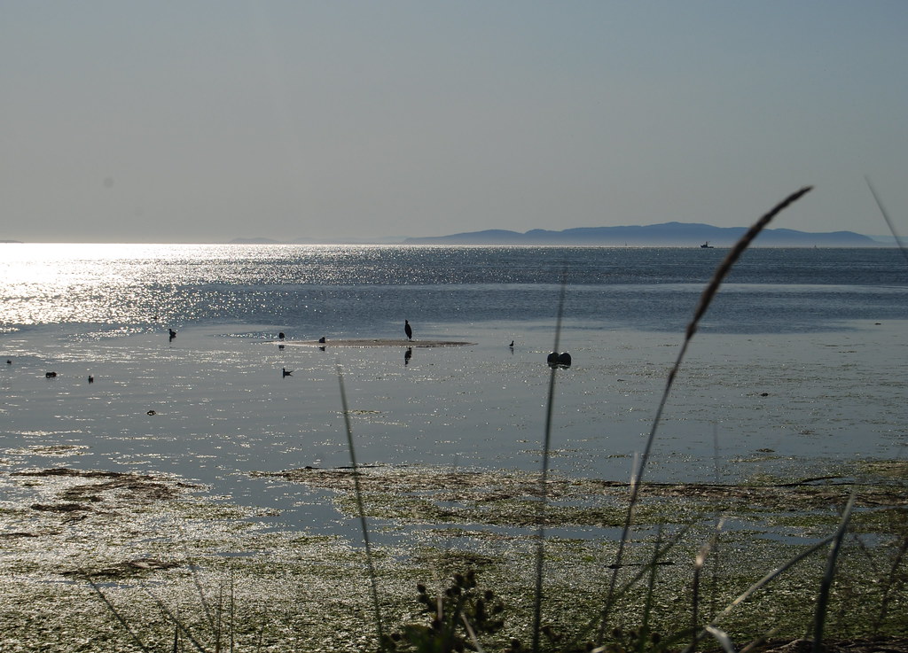 DRAYTON HARBOUR AND THE SAN JUANS ISLAND IN THE BACKGROUND… Flickr