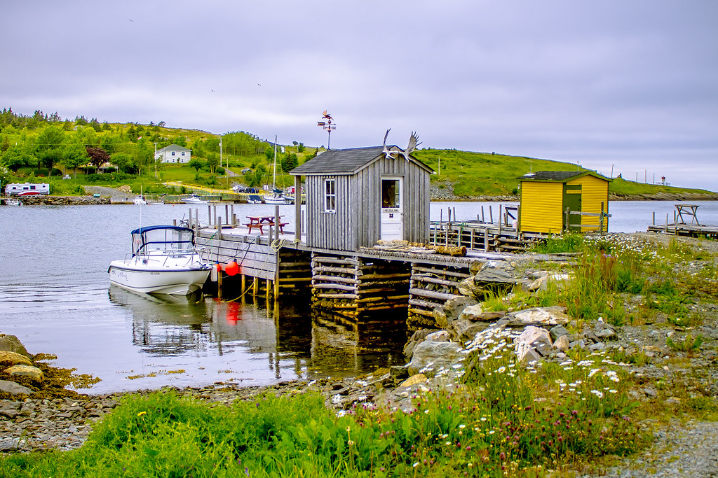 _MG_1322 New Perlican, Newfoundland Darlene Stamp Flickr