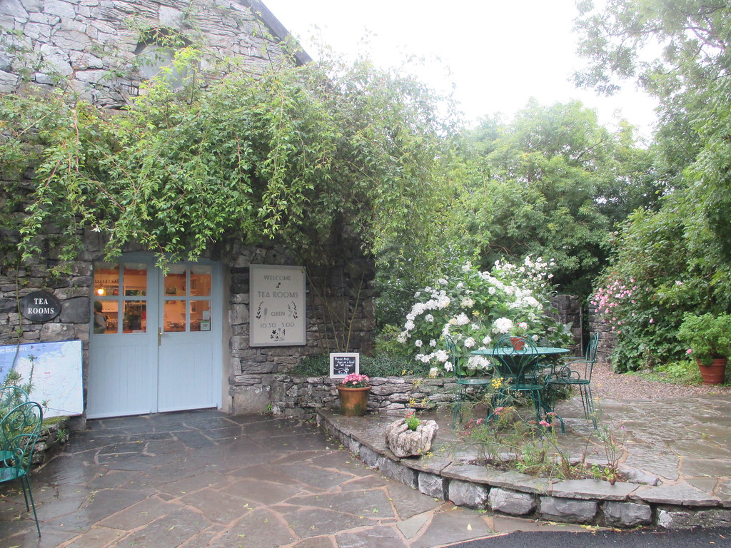 IMG_0871 Colette Fitzpatrick Flickr