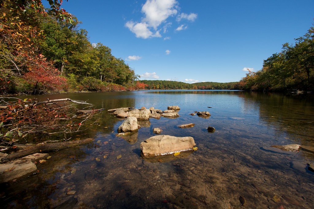 sunfish pond as clear as New Jersey water This is a littl… Flickr