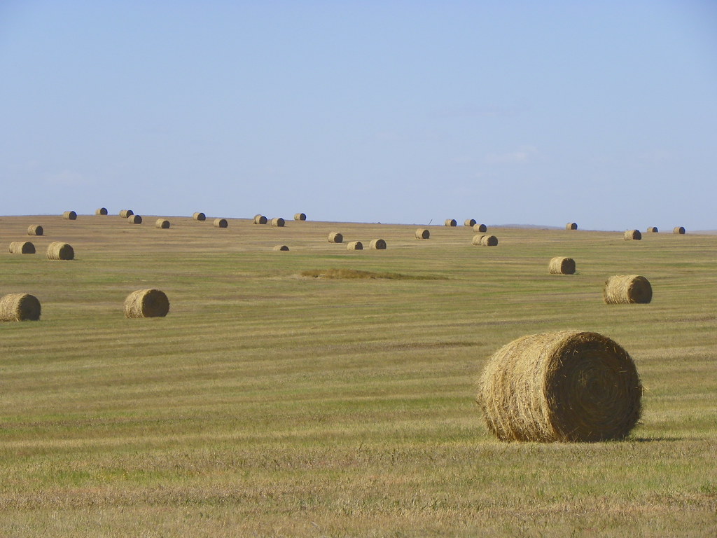 South Dakota Hay Field Stanley County, South Dakota, west … Flickr