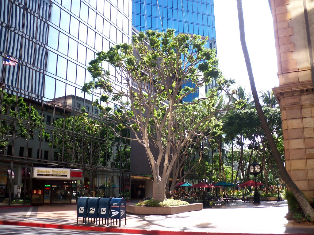 Eyewear Emporium Sunglasses Boutique Downtown (737 Bisho… Flickr