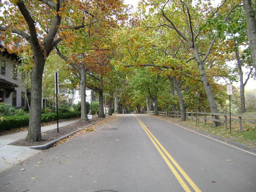 Approaching Amory Park Amory Park is to the right. Flickr
