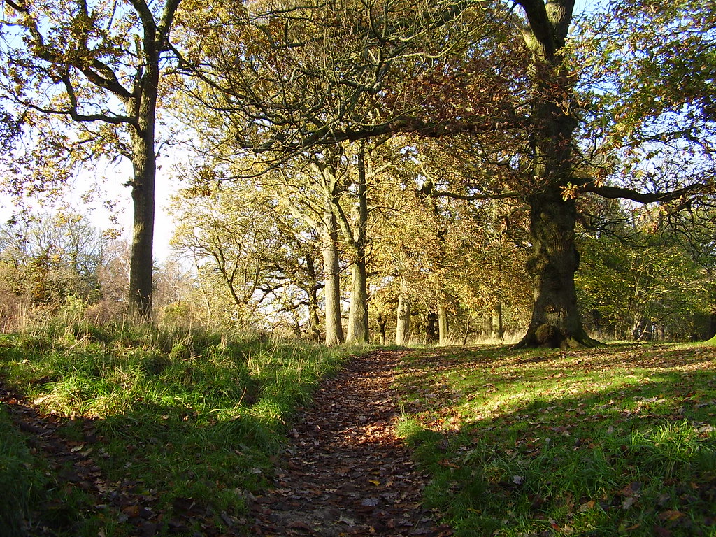 Busby Park Path Click And Pray Flickr