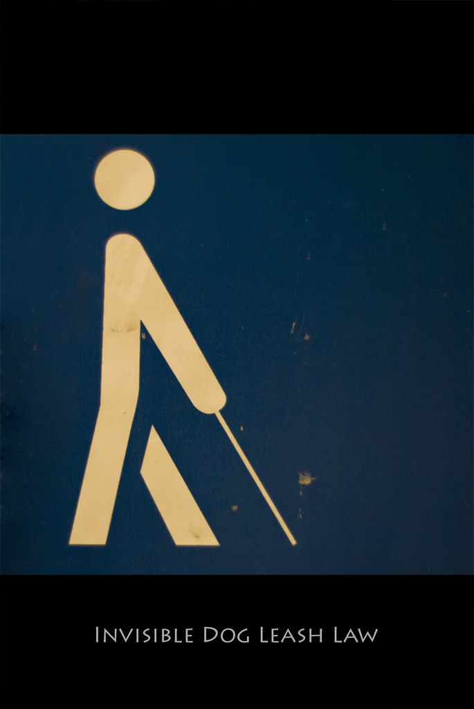 Invisible Dog Leash Law Gordon Situ Flickr