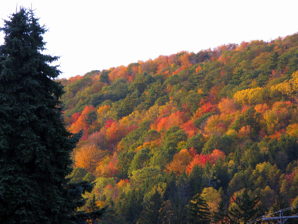view in Waterville, PA bendystraw Flickr