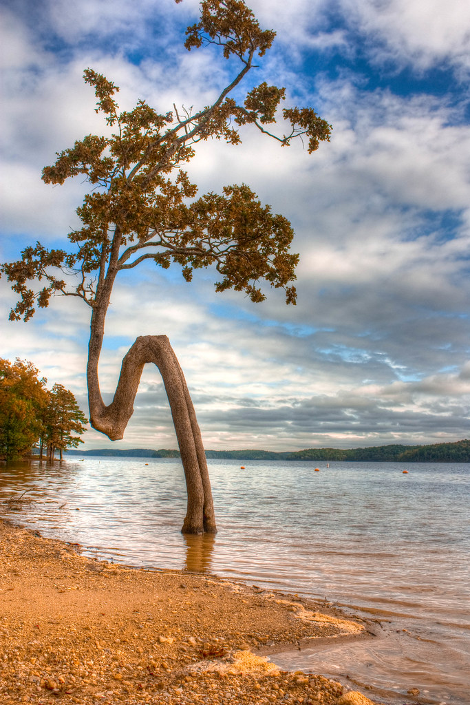 Location Degray Lake, Arkadelphia, Arkansas SBH Sahal Flickr