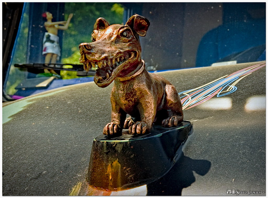 Dangerous Dog Get up close and the dog squirts you! COPYRI… Flickr