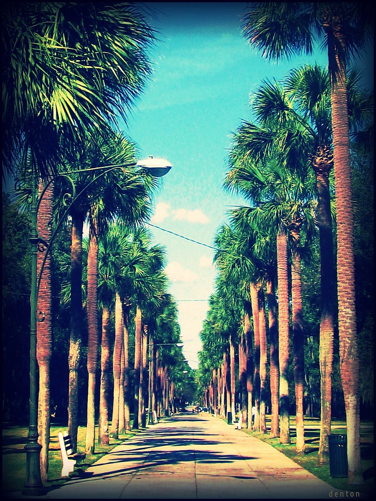 Ardsley Park SAVANNAH Mark Denton Flickr