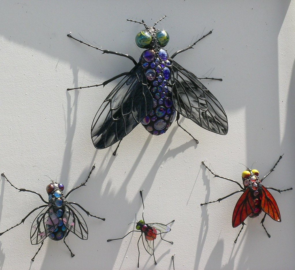 Bugs for sale at Saltspring market Rita Bell Flickr