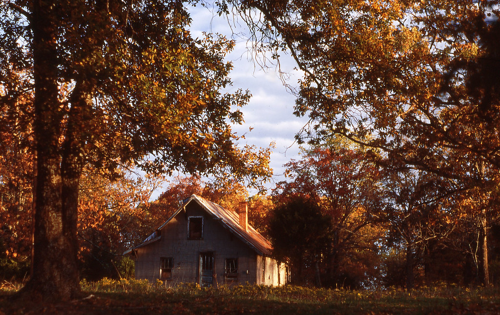House In Autumn Woods Near Harrison, Arkansas. Shot in 199… Flickr