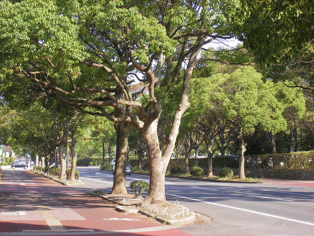 HigashiOhmi, Shiga rockriver Flickr