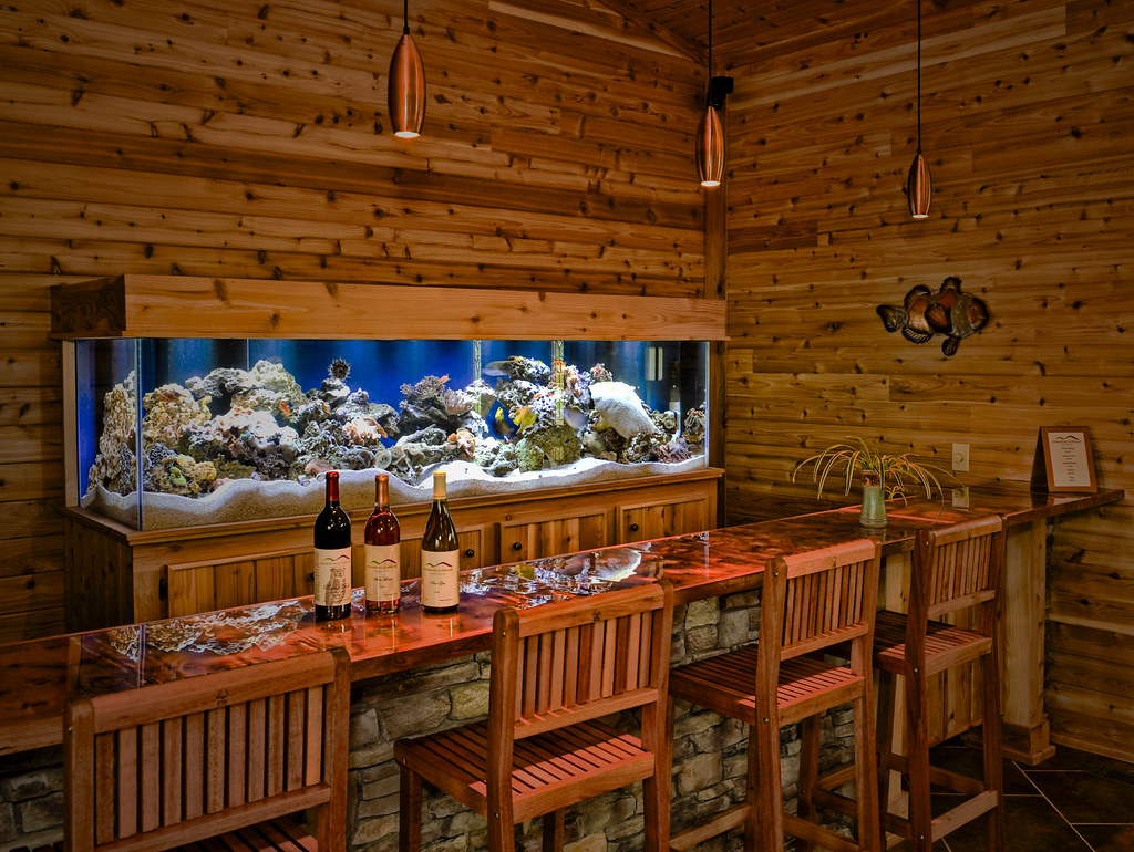 Brandon Hills Vineyard, Yadkin County NC Inside the tastin… Flickr