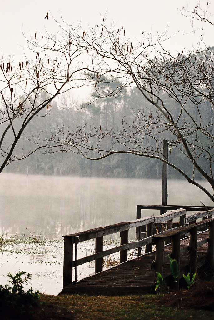 Faceville (3) proacguy1 Flickr