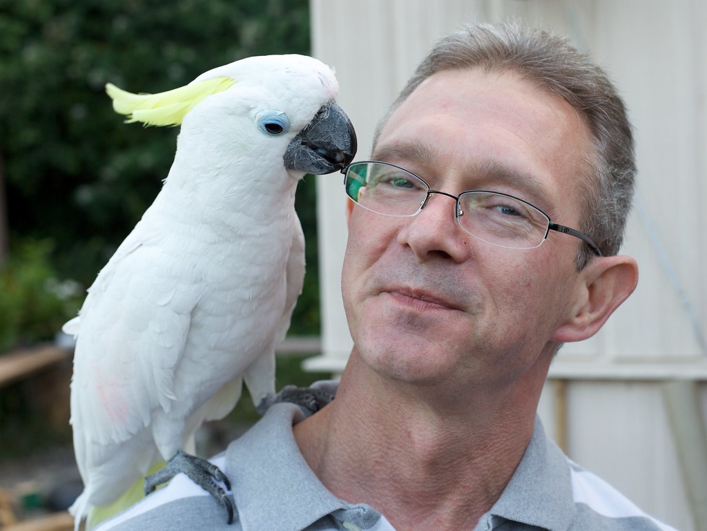 scott and cockatoo Scott kissing the cockatoo. This was on… Scott