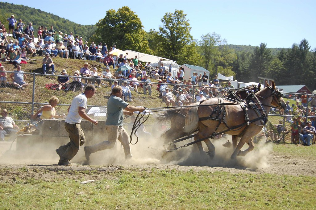 DSC_0296_3 Guilford Fair, Guilford, VT. mcfink Flickr