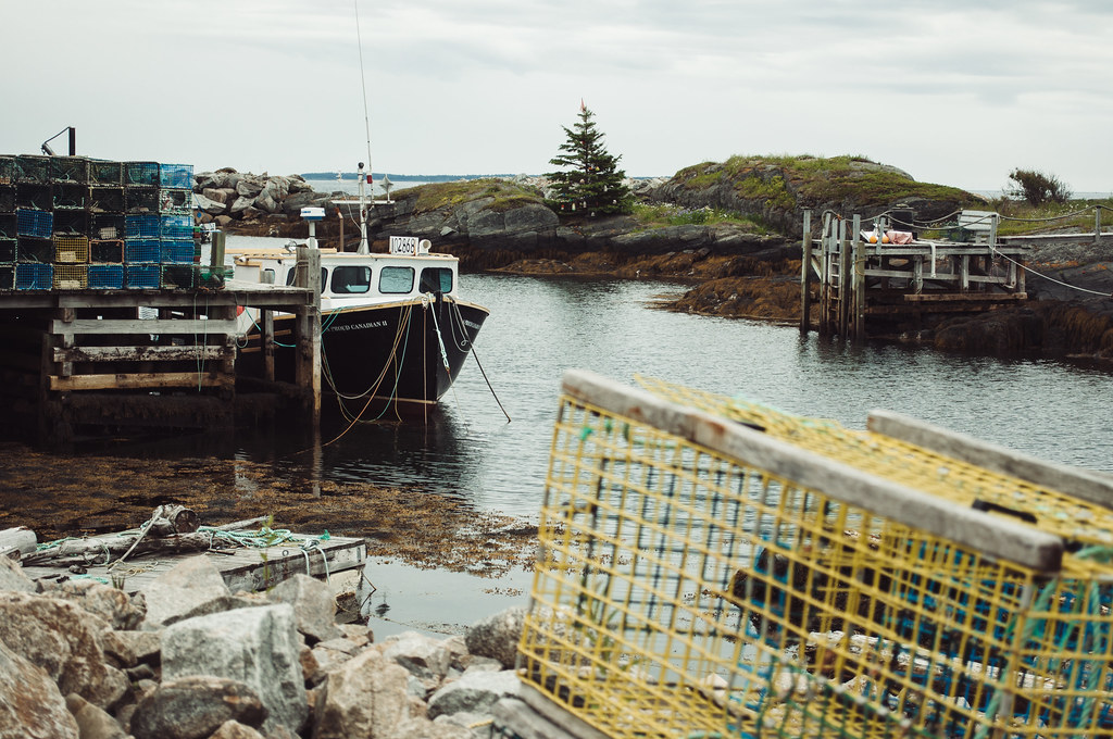 A Fishery Grant is a Grant Flickr