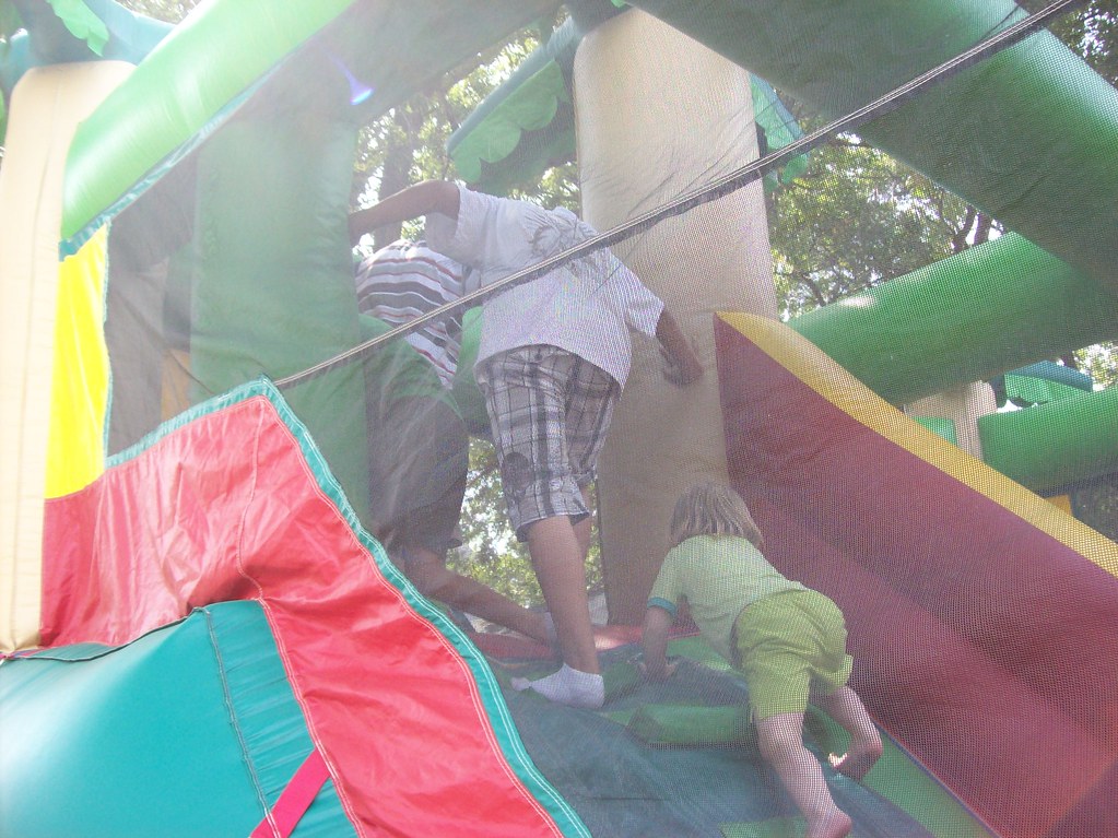 East End Fair 09 Rock Island County Area Project Flickr