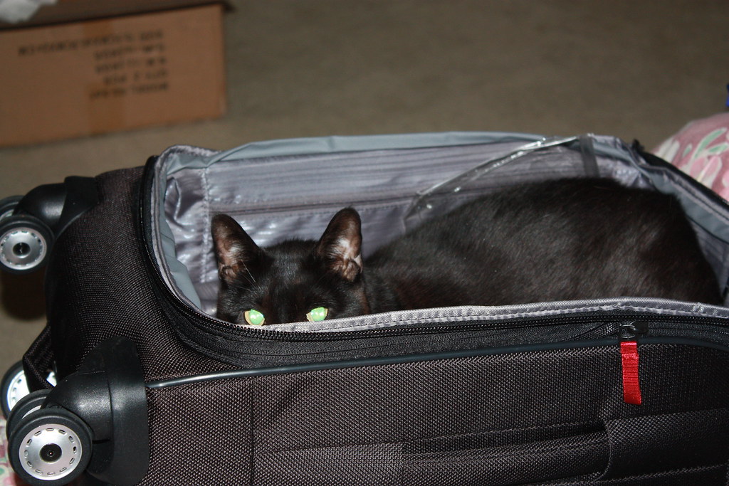 Why is my bag so heavy? Guru Sno Studios Flickr