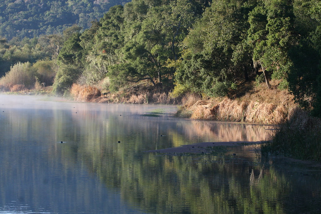 Searsville Lake Kristen Olson Flickr