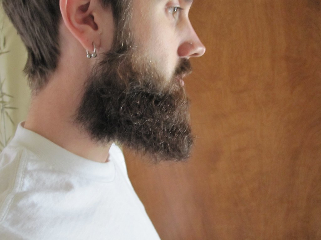 3 Inches of Beard Right Side This is a picture of the epic… Flickr