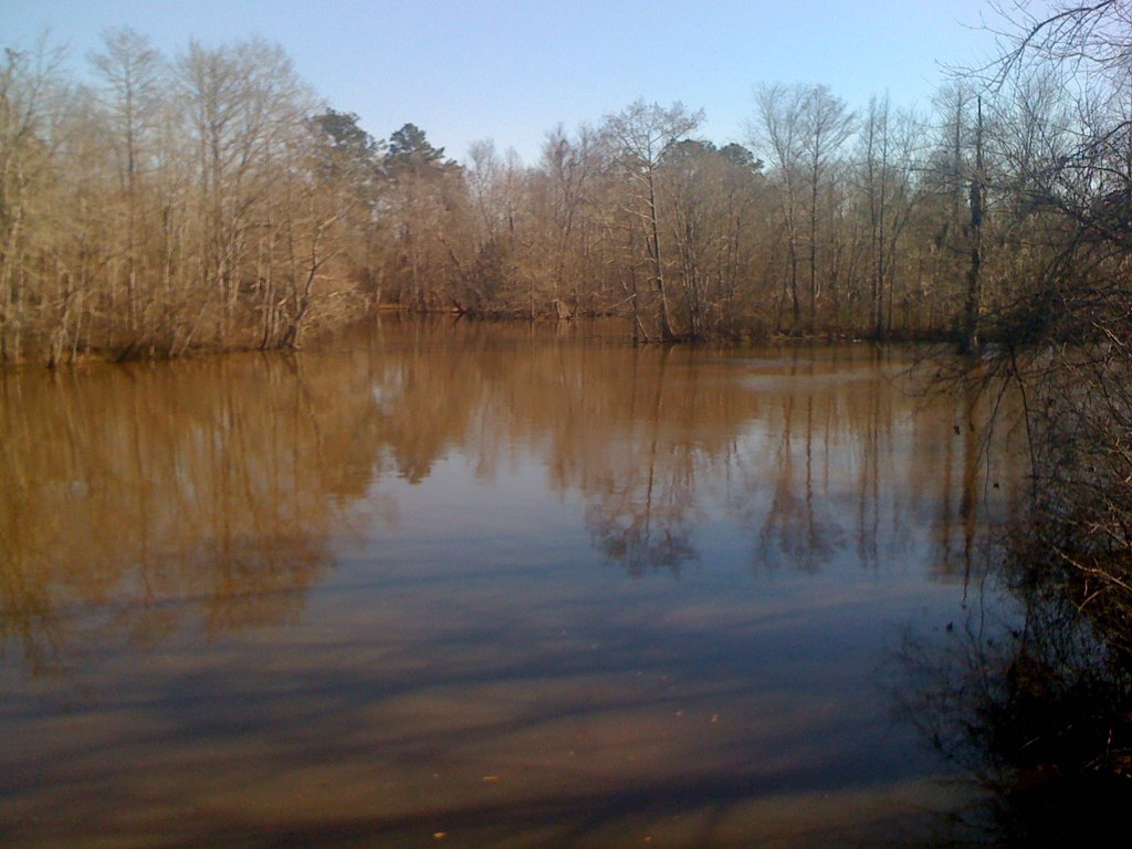 Lake Bundick 1 David Muse Flickr
