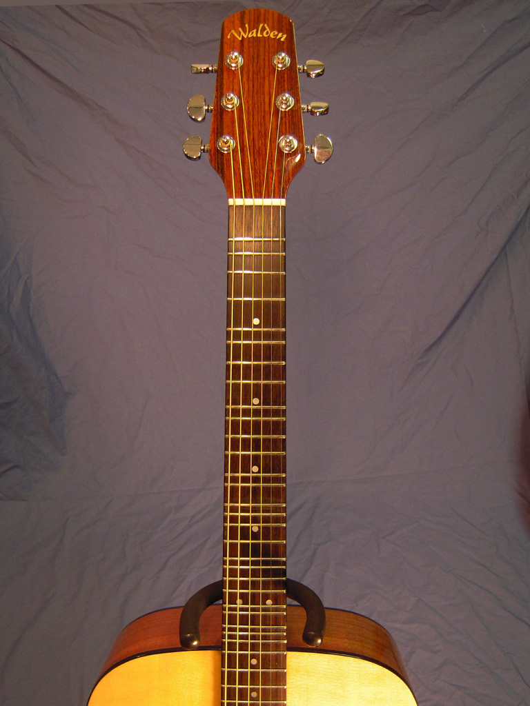 Microtonal Acoustic Guitar 12Tone Ultra Plus Customer r… Flickr