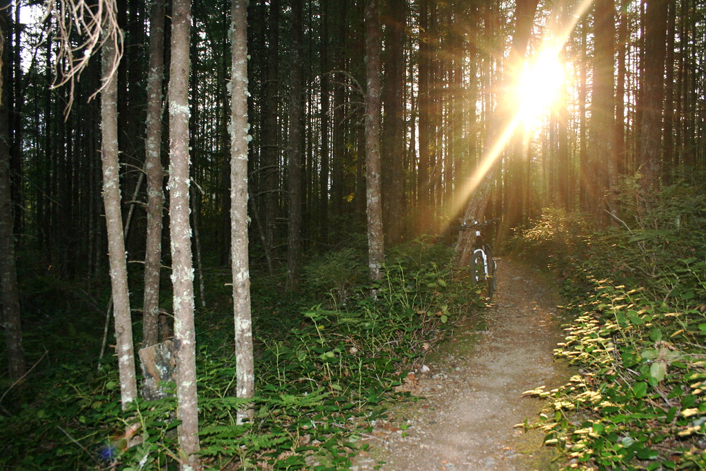 Sunset ride out Powering down the Alder Trail from Brohm L… Flickr