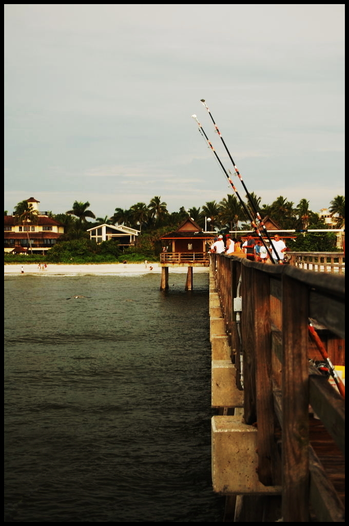 fishing at the naples pier redux David Flickr