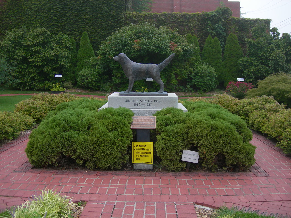 Jim the Wonder Dog Statue Marshall, Missouri Historic mark… Flickr