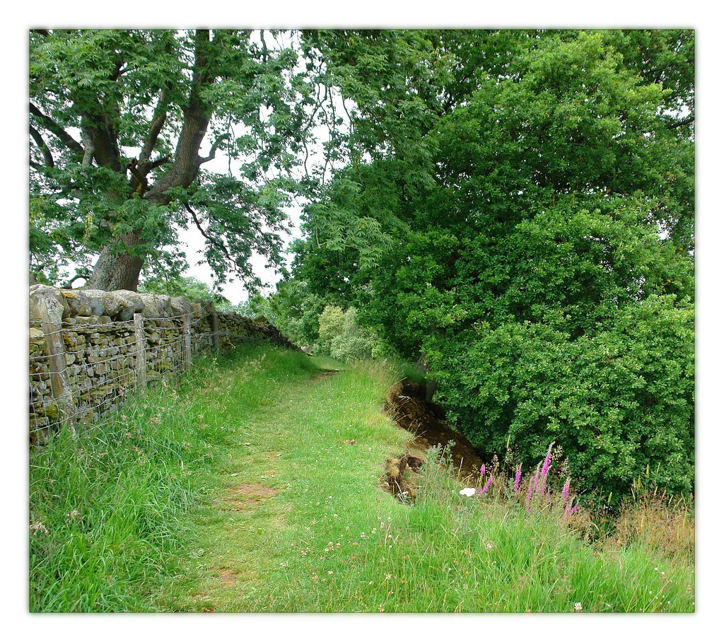 Teesdale View Large Original ? Rüdiger Reichle Flickr