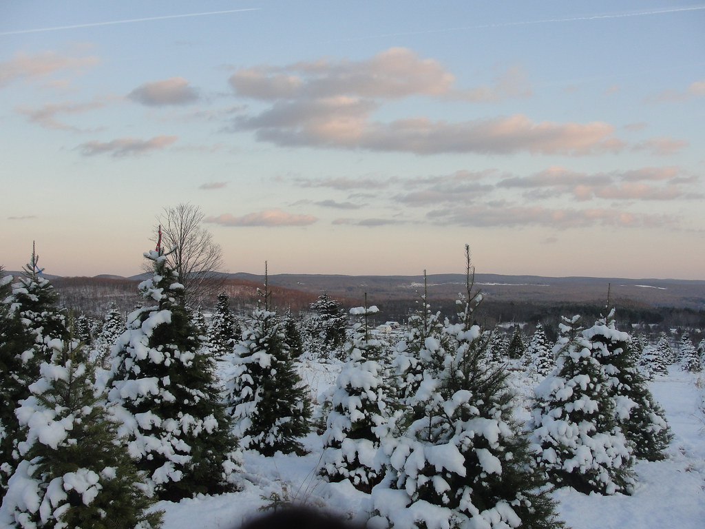 Ketterman's Tree Farm Monson, MA What a great view from … Flickr