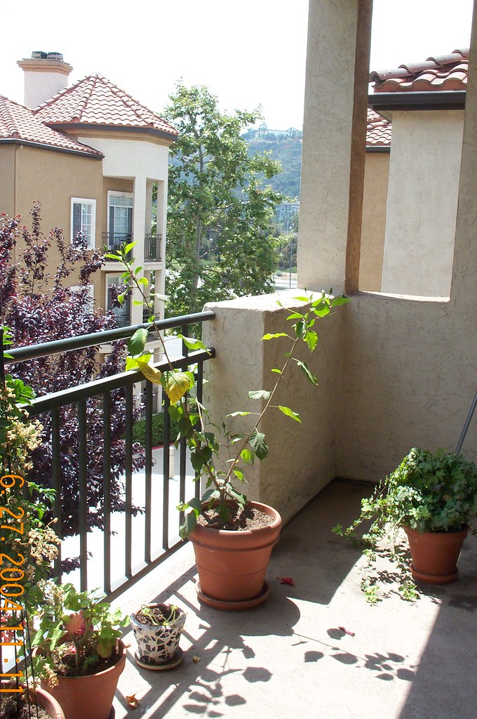 MissionValleyCondo Mission Valley Condo for rent. jwagnersd Flickr