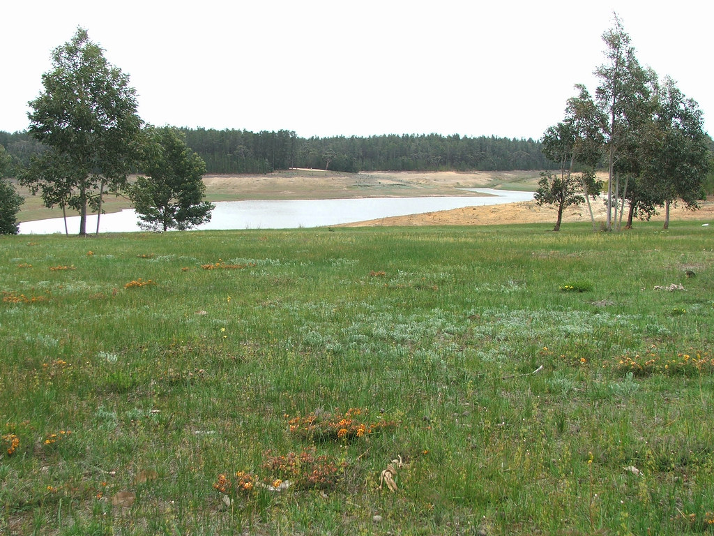 Stony Creek reservoir east North side of AnakieBallan r… Flickr