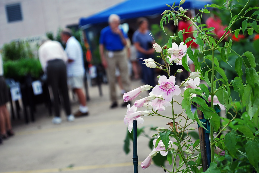 HMNS Fall Plant Sale The Cockrell Butterfly Center is the … Flickr
